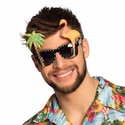 Boland 52517, Lunettes de déguisement, Adulte, unisexe, Acrylique, Polystyrène, Multicolore, 80 g