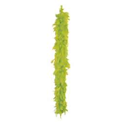 Boland 52710, Boa pour déguisement, Adulte, unisexe, Feather, Citron vert, 1000 mm