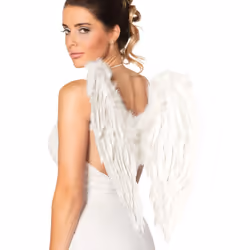 Boland 8712026527981, Ailes de déguisement, Adulte, Femelle, Feather, Fer, Papier, Polyester, Blanc, 500 mm