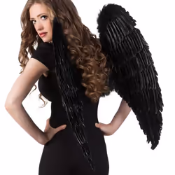 Boland 52816, Ailes de déguisement, Adulte, Femelle, Feather, Fer, Papier, Noir, 700 g