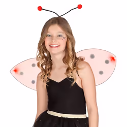 Boland 52853, Ensemble de déguisement, Adulte, Femelle, Ladybird, Fer, Polyester, Polyéthylène, Polypropylène (PP), Noir, Rou ...