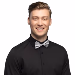 Boland 53111, Noeud papillon de déguisement, Adulte, Mâle, Polyester, Polyéthylène téréphthalate (PET), Argent, 16 g