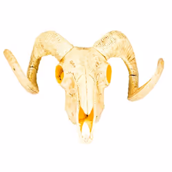 Boland 54319, Décoration, Polyéthylène, Beige, 180 g, 300 mm, 160 mm