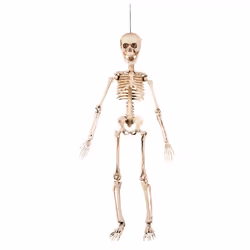 Boland 72037, Blanc, Polyéthylène, Halloween, 140 mm, 600 mm, 80 mm