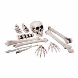 Boland 72157, Décoration, Polyéthylène, Polypropylène (PP), Blanc, 180 g, 250 mm, 12 pièce(s)