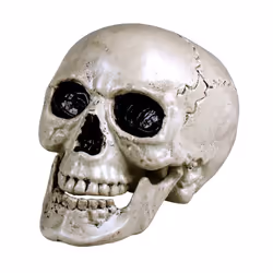 Boland 74362, Décoration, Polyéthylène, Noir, Blanc, 250 g, 170 mm, 170 mm