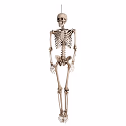 Boland 74515, Décoration de porte de fête, Halloween, Skeleton, 180 mm, 380 mm, 800 mm