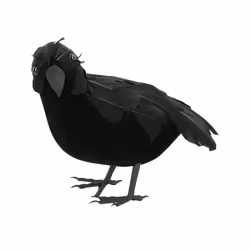 Boland 74534, Décoration, Feather, mousse, Polypropylène (PP), Noir, 230 mm, 100 mm, 70 g