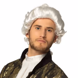 Boland 86349, Perruque de déguisement, Adulte, Mâle, Polyester, Blanc, 333 g