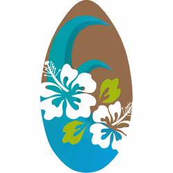 SportX Skimboard Fleur Bleu/Marron, Bleu, Marron, unisexe, Chine, 1000 mm