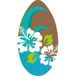 SportX Skimboard Fleur Bleu/Marron
