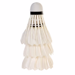 SportX Plumes 3 en tube
