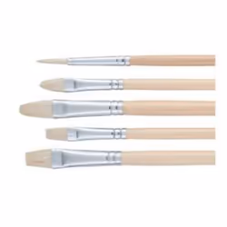 Talens 9099215M, Set de pinceaux, Assortie, 5 pièce(s)