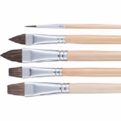 Talens 9099225M, Set de pinceaux, 5 pièce(s)
