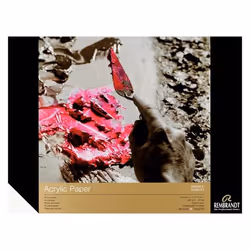 Rembrandt 93063040, papier d'art, 400 g/m², 10 feuilles