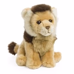 WWF 15192039, Lion