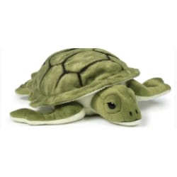 WWF Tortue Moyenne