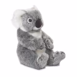Neotilus Wwf Koala - 22 cm