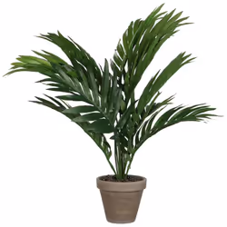 Palmier Jaune Ou Palme D'arec Pvc Avec Pot Gris D11.5cm-H45xd60cm