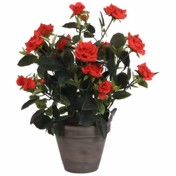 Rosier Rouge Pvc Dans Pot Gris D11.5cm-H33xd25cm