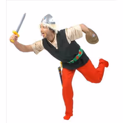 Deguisement d ASTERIX le gaulois T48/50
