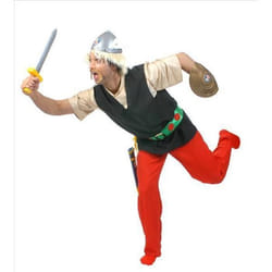 Deguisement d ASTERIX le gaulois T48/50