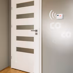 Alecto DETECTEUR CO COA3910 détecteur de gaz Monoxyde de carbone (CO) - Vue supplémentaire 8