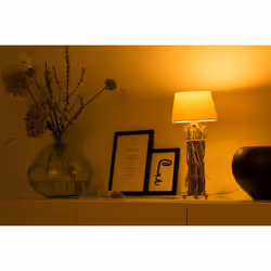 Alecto SMARTLIGHT110 éclairage intelligent Ampoule intelligente Wi-Fi - Vue supplémentaire 6