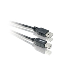 Philips Câble USB 2.0 SWU2002T/10