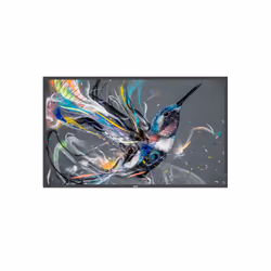 Philips 65BDL3550Q/00, 165,1 cm (65"), IPS, 3840 x 2160 pixels, 18/7