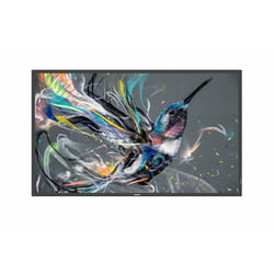 Philips 50BDL3650QE/00 affichage de messages Écran plat de signalisation numérique 49.5" Wifi 350 cd/m² 4K Ultra HD Noir Intégré dans le processeur Android 10