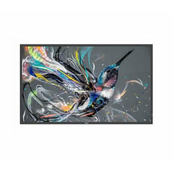 Philips 65BDL3650QE/00 affichage de messages Écran plat de signalisation numérique 65" LCD Wifi 300 cd/m² 4K Ultra HD Noir Intégré dans le processeur 18/7