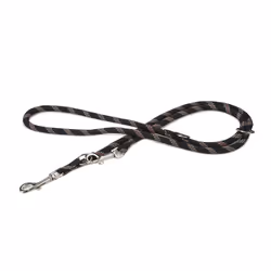 Beeztees 744013, Chien, Laisse éducative, Noir, Cordon, Motif, Nylon