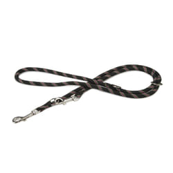 Beeztees 744013 2 m Noir Nylon Chien Laisse éducative