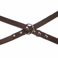 Beeztees 736402 2 m Marron Cuir Chien Laisse standard