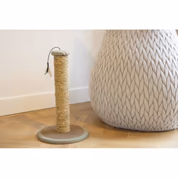 Beeztees 408849 Poteau du griffoir pour chat