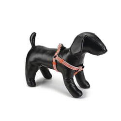 Beeztees Triangle Gris clair, Rose Nylon Chien