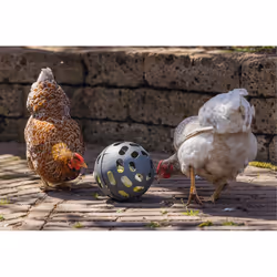 Beeztees Kippenspeelgoed mangeoire pour oiseau Vert, Gris Plastique Autonome - Vue supplémentaire 6
