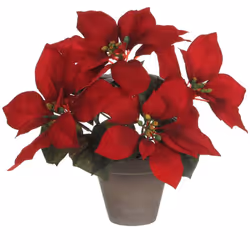 Poinsettia Rouge Avec Pot Gris 27x35cm (largeur/hauteur)
