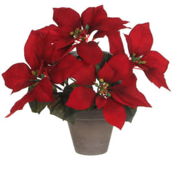 Poinsettia rouge avec pot gris 27x35cm