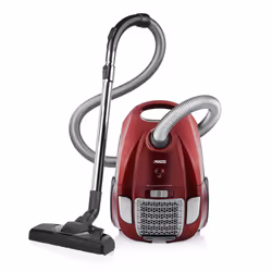 Princess 333001 Aspirateur puissant DeLuxe, 700 W, Aspirateur réservoir cylindrique, Sec, Sac à poussière, 3 L, HEPA