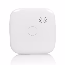 Smartwares Fdétecteur de fumée intelligent Raccordements sans fil