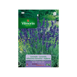 Dunlop - Vilmorin Lavender Seeds aromatiques S-1 520, 2 gr