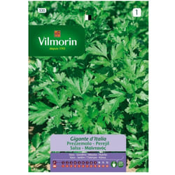 Dunlop - Vilmorin Giant Weeks Italie Arom Tico S-1 530, 14 gr