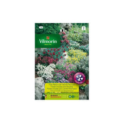 Dunlop - Vilmorin Graines de la rocaille vivace des fleurs de nains S-2, 2 gr