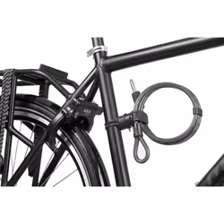 AXA 59501595SC Antivol pour bicyclettes Noir 1700 mm Collier de serrage
