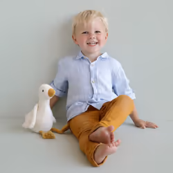 Little Dutch Little Goose