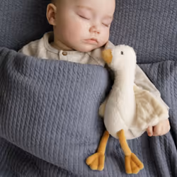 Little Dutch Little Goose