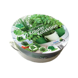 Hortus Sementi 8713339195416 semence d'herbe