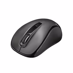 Trust Siero Silent, Ambidextre, Optique, RF sans fil, 2400 DPI, Noir